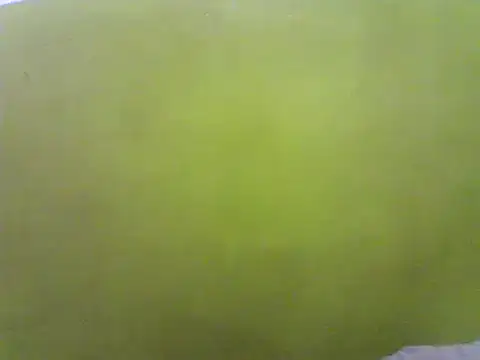 Claris2 online show from January 21, 2025, 6:34 pm