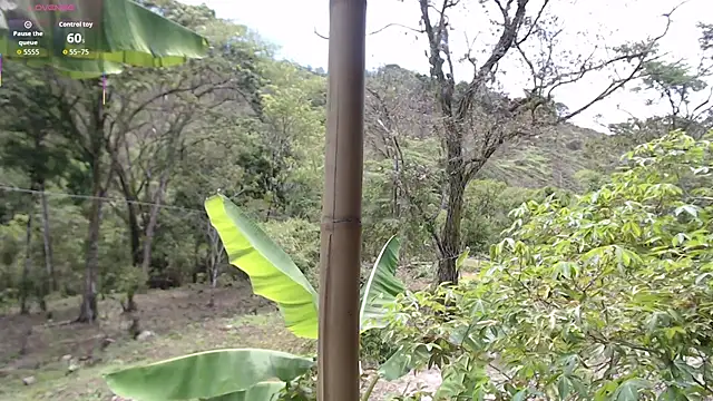 andreu mature online show from October 17, 2025, 4:09 pm