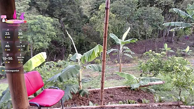 andreu mature online show from November 13, 2025, 10:19 pm