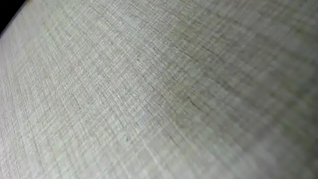 AishaRouhi online show from November 5, 2025, 5:07 am