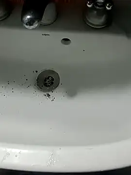 Chancho141414 online show from November 15, 2025, 4:47 pm