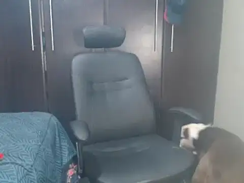 Snapshot of blzed420 chatting on February 15, 2025, 11:14 pm blzed420 online show from February 15, 2025, 11:14 pm