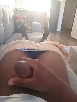 Guns roses  online show from January 14, 2025, 4:15 am