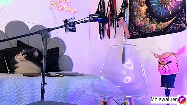 MhiaCorleone online show from February 28, 2026, 9:32 am