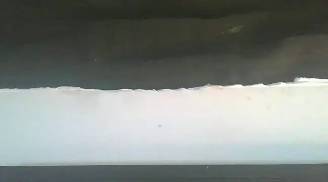 sllife online show from January 6, 2025, 6:47 am