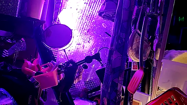 gurlnips online show from March 11, 2026, 12:05 am