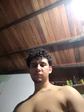 Hvdesito991 online show from November 15, 2025, 4:10 am