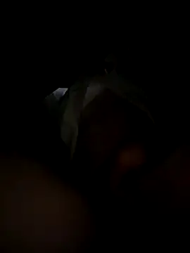 toysonly online show from December 2, 2025, 11:34 pm