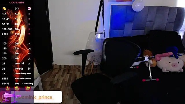 DominicPrince online show from November 24, 2025, 7:02 pm