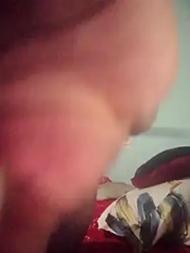 DigCrok online show from April 8, 2026, 8:20 pm