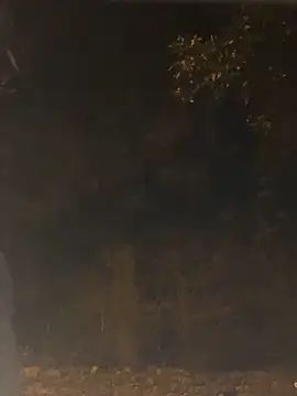 Alicia Hot1 online show from January 21, 2025, 7:28 pm