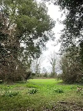 Alicia Hot1 online show from February 10, 2025, 2:05 pm