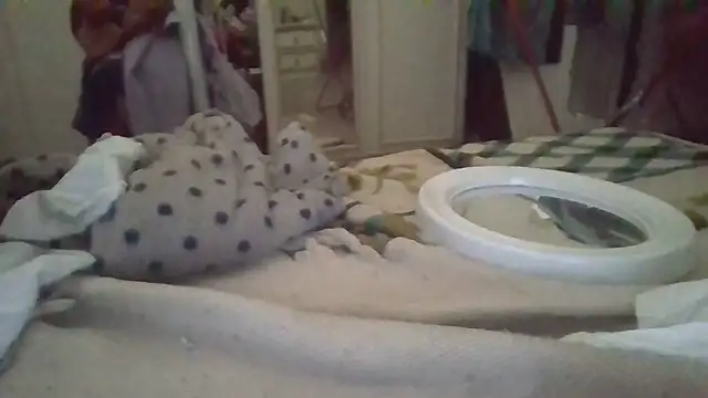 biuv online show from November 6, 2025, 11:11 am