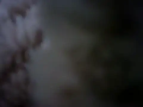 07YUKIO online show from January 24, 2025, 10:08 pm