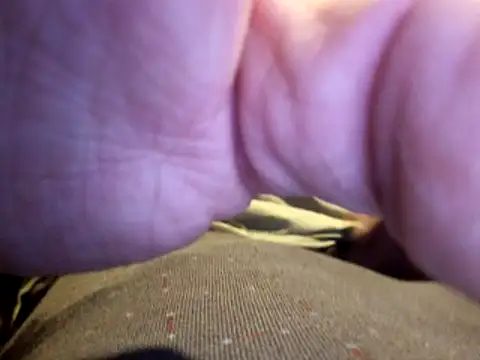 stavroun online show from December 23, 2025, 4:10 am