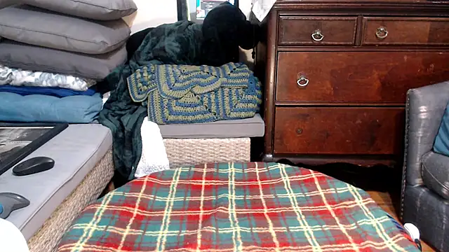 ladyscarlotta online show from February 9, 2025, 4:04 am