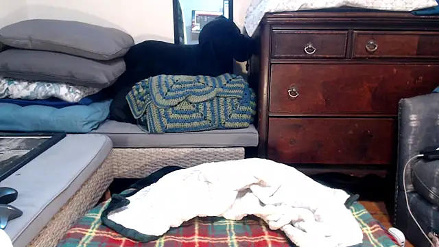 ladyscarlotta online show from February 9, 2025, 4:50 pm