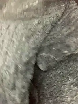 Snapshot of cardibabe chatting on October 5, 2025, 10:40 pm cardibabe online show from October 5, 2025, 10:40 pm