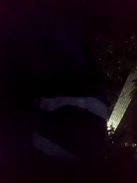 mis312 online show from November 18, 2025, 6:40 am