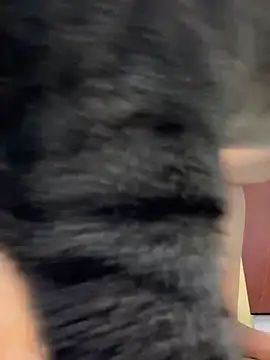 Snapshot of Barbielatinas chatting on February 14, 2026, 4:31 am Barbielatinas online show from February 14, 2026, 4:31 am