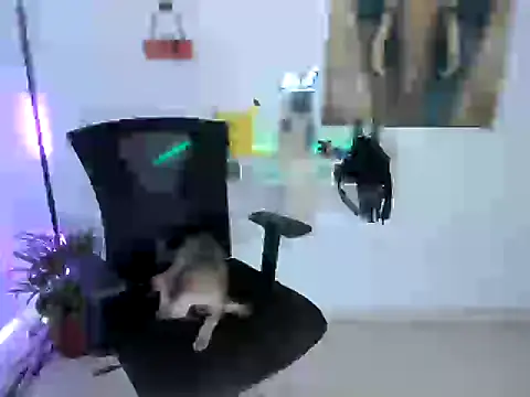 nairobbits online show from October 9, 2025, 1:09 pm