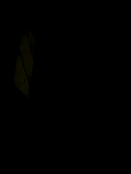 Sofiluisao online show from October 1, 2025, 5:46 am