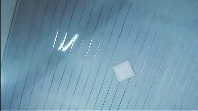 samy foox online show from December 22, 2024, 12:17 am