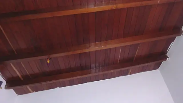 Amara Red online show from September 13, 2025, 3:01 pm