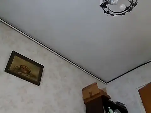 mariusica1xh online show from November 1, 2025, 11:45 am