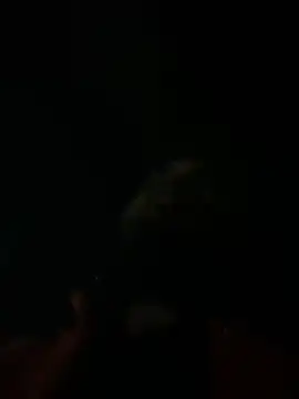 Rastamanzigy22 online show from February 12, 2026, 2:06 am