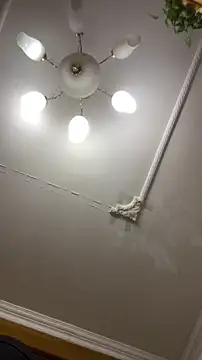 shuai321 online show from December 15, 2024, 1:43 pm