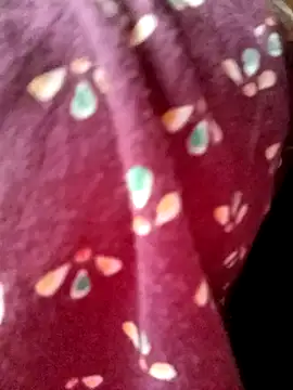 Snapshot of Beautyy38 chatting on March 5, 2025, 7:49 pm Beautyy38 online show from March 5, 2025, 7:49 pm