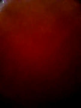 VenomKushx online show from June 16, 2026, 1:08 am