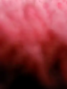 eric69 69 online show from March 5, 2025, 3:29 pm