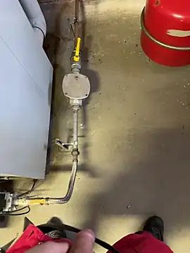 Loveboy 1987 online show from March 5, 2026, 7:59 am