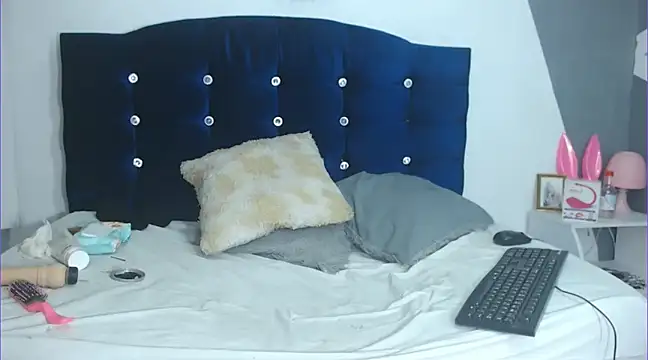 chicago 28 online show from January 29, 2025, 8:51 am