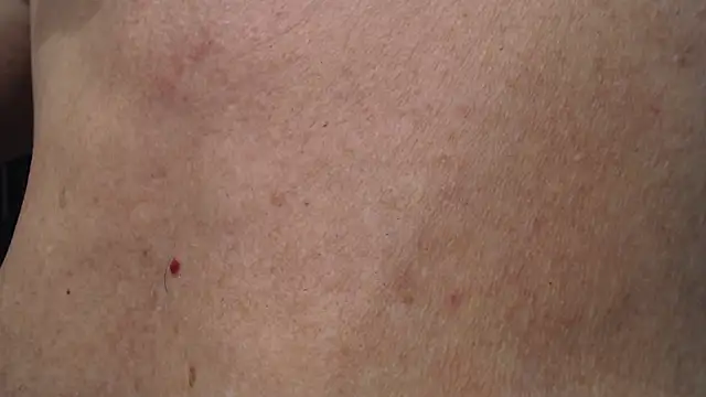 Toy-Daddy online show from November 20, 2025, 12:33 am