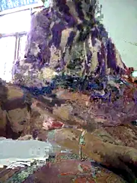 Snapshot of FeltedEuropium chatting on December 18, 2025, 8:09 am FeltedEuropium online show from December 18, 2025, 8:09 am