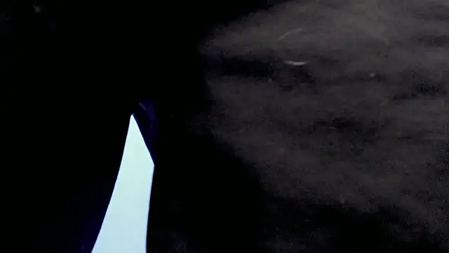 Jake tripp online show from September 27, 2025, 4:17 am