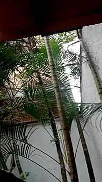 Snapshot of helen_kinett chatting on December 27, 2024, 10:16 pm helen kinett online show from December 27, 2024, 10:16 pm