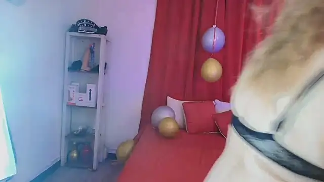 Snapshot of girl_amada chatting on February 10, 2026, 8:24 pm girl amada online show from February 10, 2026, 8:24 pm