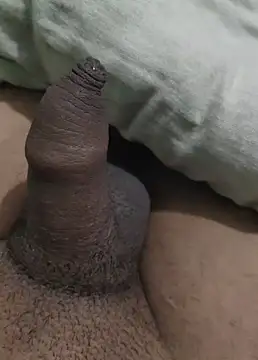 iaparna online show from December 29, 2024, 6:38 pm