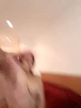 THIAGOEVA online show from December 10, 2024, 12:05 pm