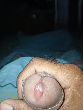 taylorWiiz online show from December 16, 2025, 11:15 am