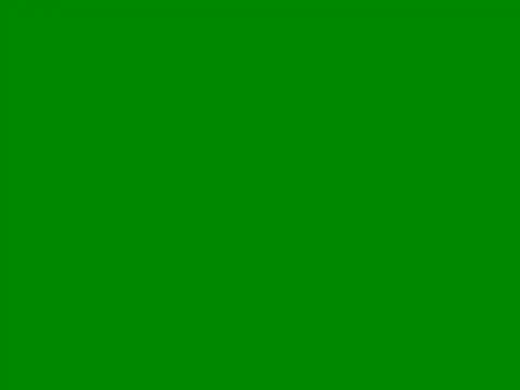 Snapshot of IMENET chatting on January 4, 2025, 2:25 pm IMENET online show from January 4, 2025, 2:25 pm