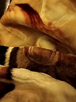 yhona darling online show from December 16, 2025, 5:18 pm