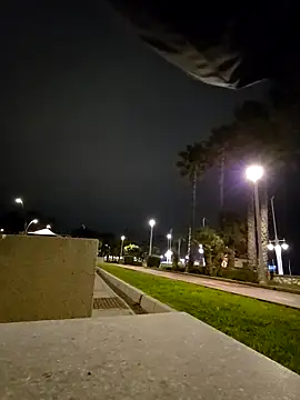 charlye inkkkk online show from February 28, 2026, 11:39 pm