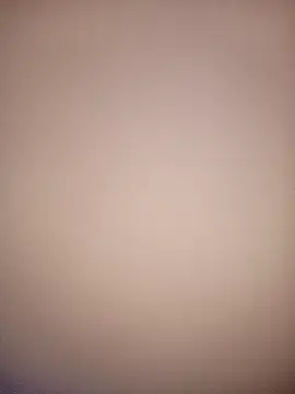 bustybillies online show from December 3, 2025, 3:58 am