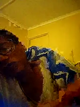 bustybillies online show from February 20, 2026, 9:04 pm