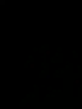 talall12345 online show from March 17, 2025, 3:50 pm